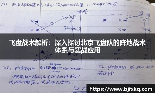 飞盘战术解析：深入探讨北京飞盘队的阵地战术体系与实战应用