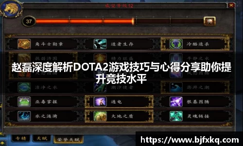 赵磊深度解析DOTA2游戏技巧与心得分享助你提升竞技水平