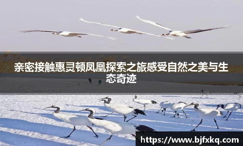 易游体育官网首页
