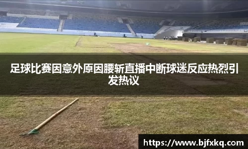 足球比赛因意外原因腰斩直播中断球迷反应热烈引发热议